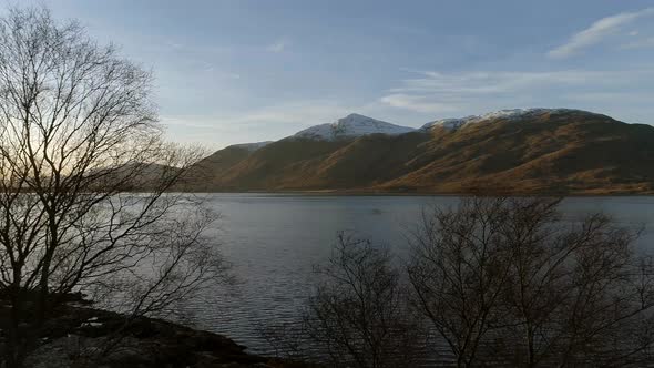 Scottish Loch Trees on the Shoreline