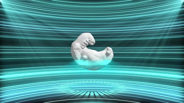 4K Sci Fi Hologram Human Embryo Background Seamless Loop