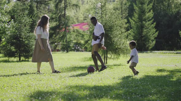 Multi Ethnic Family in the Park