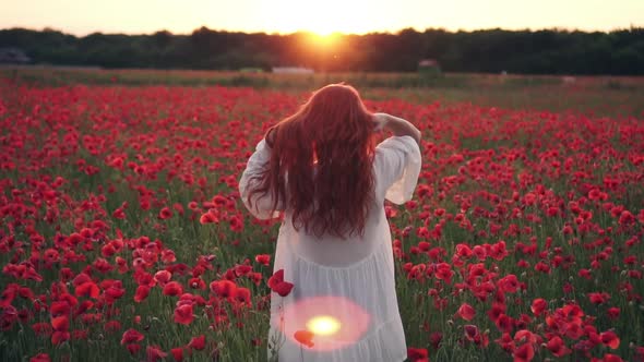 Redhaired Woman Throws Her Hair Up Standing in Field of Poppies in Rays of Setting Sun Rear View