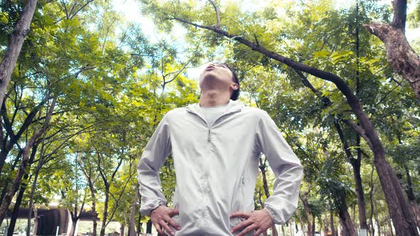 Asian man runners standing resting and taking a break from running and looking up at the tree.