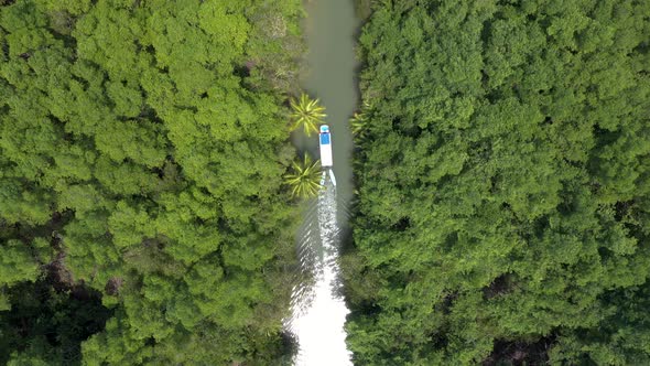 Top down aerial shot tracking a boat on a river in the rainforests of Costa Rica