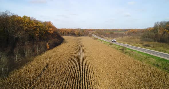 Aerial View of Road in Autumn Forest at Sunset Near the Corn Field