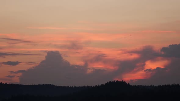 Clouds in Sunset and Over Tops Fir Trees. Time Lapse