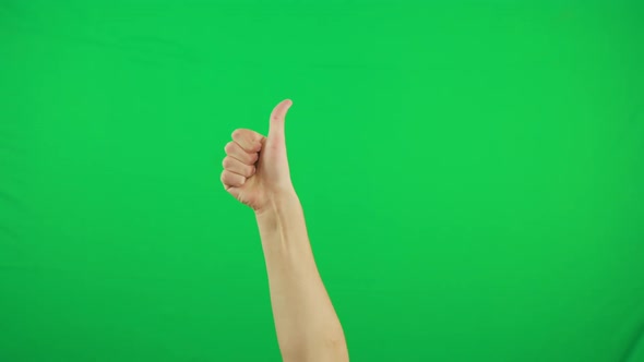 Mans Hand Show Thumbs Up Gesture. Male Hand Rise Up and Do Thumbs Up. Alpha Channel, Keyed Green Screen