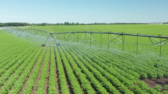 Aerial, center pivot irrigation sprinklers watering fresh farm field crops on summer day