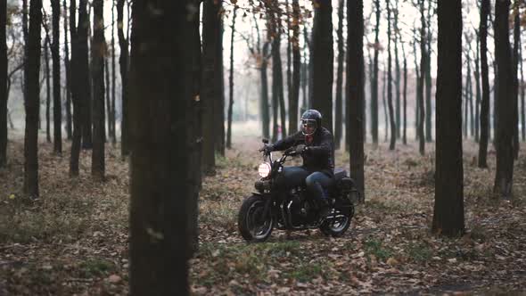 Man Riding Old Custom Caferacer Motorcycle on Forest Country Road at Sunset