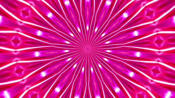 neon pink illumination flower petals floral flourish gradients animation motion graphics footage