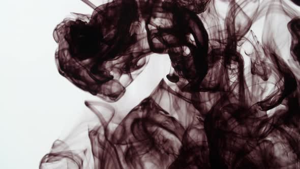 Black Ink Drop Into Water On A White Background alt
