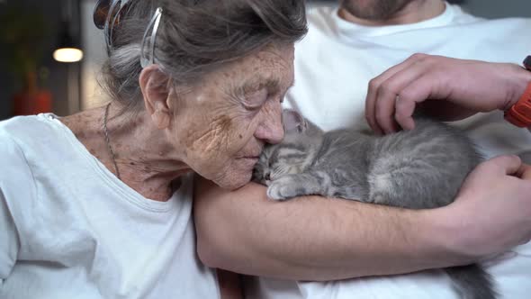 Happy Senior Woman Cuddling and Kiss Snuggle Up To Face Small Cute Gray Kitten Which Held in Arms By