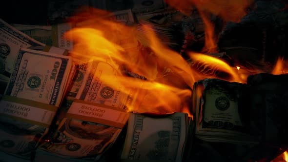 Pile Of Money Burning