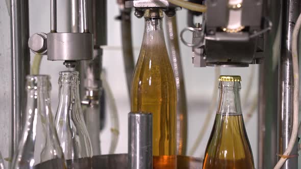 Bottling Lemonade in Glass Bottles at the Factory. Conveyor Belt with Glass Bottles. Conveyor Close