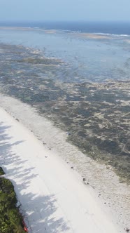 Vertical Video of Low Tide in the Ocean Near the Coast of Zanzibar Tanzania