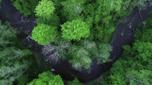 Top view of forest river flowing. Drone footage from above