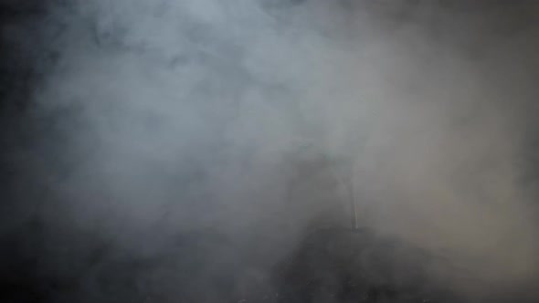 Zucchini Sprout in Fog on a Black Background