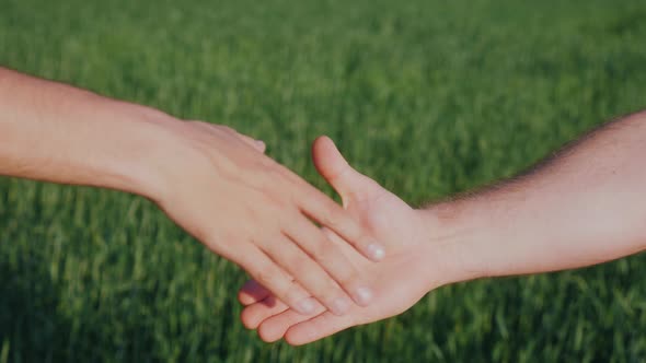 Friendly Handshake of Two Male Hands. Against the Background of a Green Wheat Field