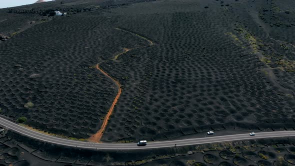 Vineyards on Volcanic Soil in Lanzarote Aerial View