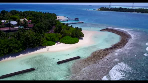 Aerial flying over travel of tranquil shore beach wildlife by blue sea with bright sand background o