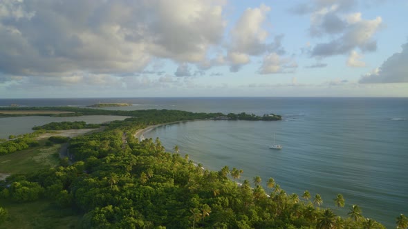 Aerial of green trees and landscape along beautiful sea