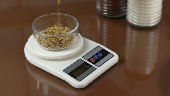  Lentil seeds are weighed on the scale. 