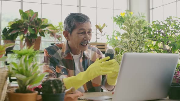 Agriculture concept. A retired man selling plants online. 4k Resolution.