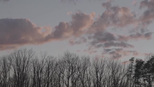 Timelapse of cloudsing over treeline at sunset.