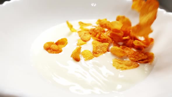 Yellow Cornflakes Are Thrown Into a Bowl with Milk in Close Up and Slow Motion