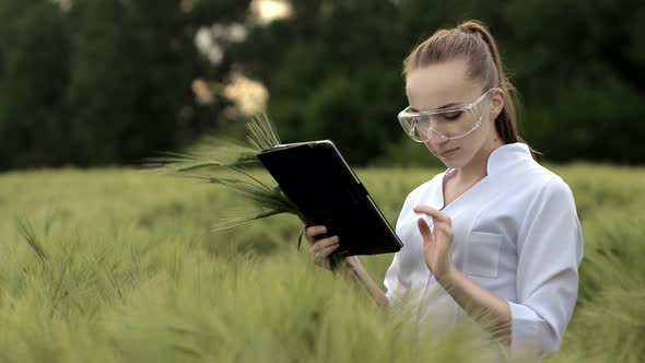 Young woman farmer wearing white bathrobe is checking harvest progress on a tablet