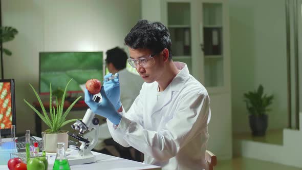 Biochemist Researcher Injecting Healthy Apple With Dna Liquid Using Syringe Checking Genetic Test