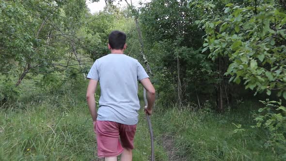 A man walks on a footpath in forest, daytime,  summer season. Young man filmed from behind while Wal