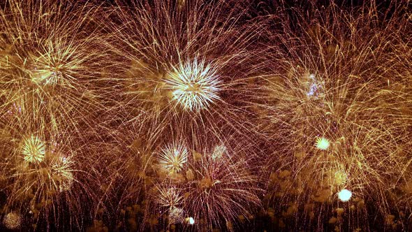 Colorful Fireworks Exploding in the Night Sky