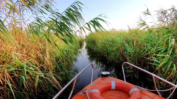 Boat Ride on Danube Delta