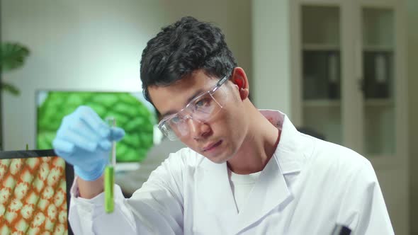 Asian Researcher Looking At Test Tube With Green Dna Of Sapling Analyzing Genetic Mutation Modified