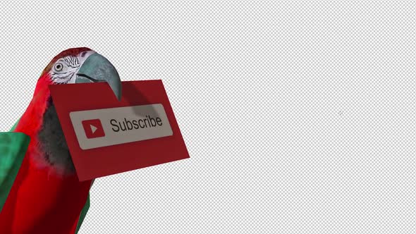 Parrot Subscribe alt