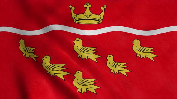 East Sussex Flag England Waving in Wind