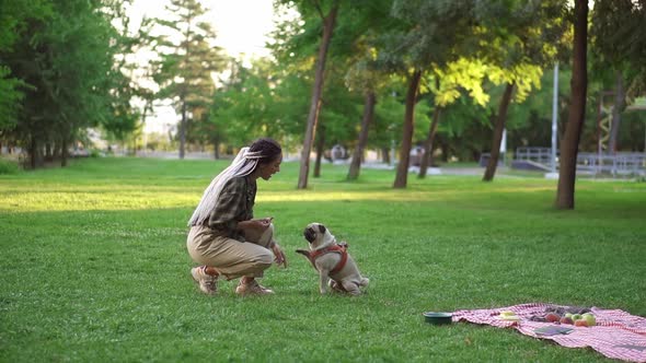 Owner Feeding Pet Outdoors Encouraging Smart Dog for Good Command Execution with Bone Dog Snack