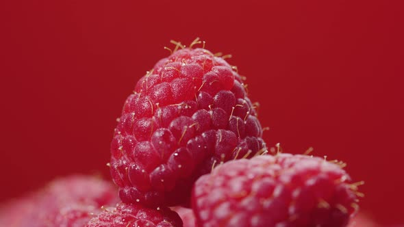 Macro Shooting is Wet Raspberries with Dew Drops