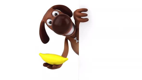 Fun dog - 3D Animation