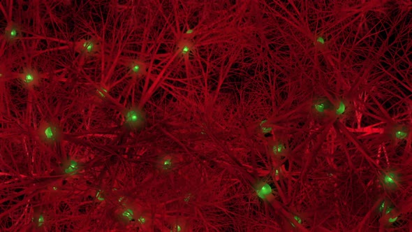 Memory Cells Inside A Brain