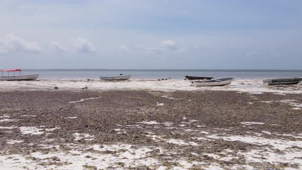Ocean at Low Tide Near the Coast of Zanzibar Island Tanzania Slow Motion