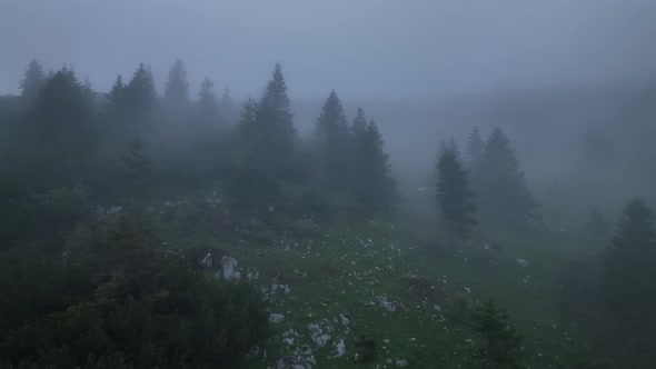 Fog On The Hill On A Mystic Spring Morning