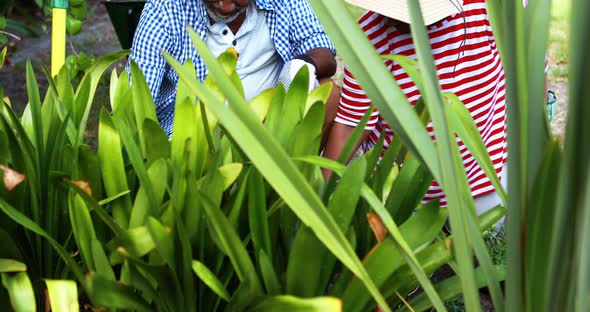 Senior couple working in the garden