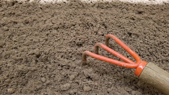 Land prepared to sow vegetables. Pan shoot.