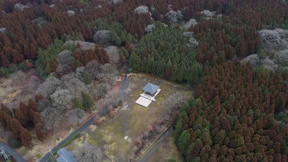 The Aerial view of Kumamoto