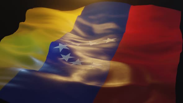 Venezuela Flag Low Angle View