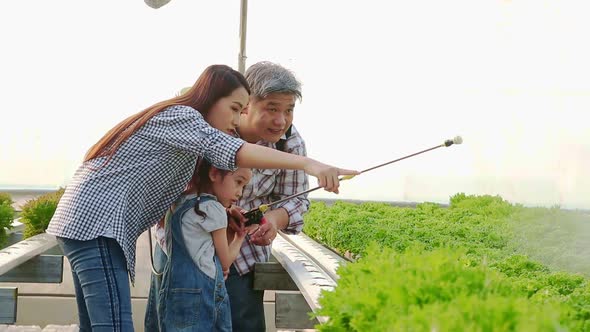 Asian farming family Hydroponics vegetable farming help water the vegetables They are happy.