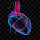 3d Holographic of Human Heart - VideoHive Item for Sale
