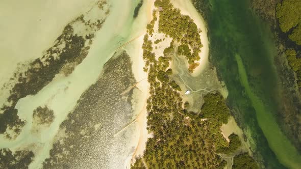 Tropical Beach with and Turquoise Sea