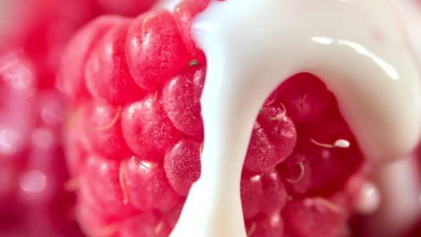 Slow Motion Macro Shot Pouring Viscous White Yoghurt or Cream or Milk on Ripe Fresh Red Raspberries