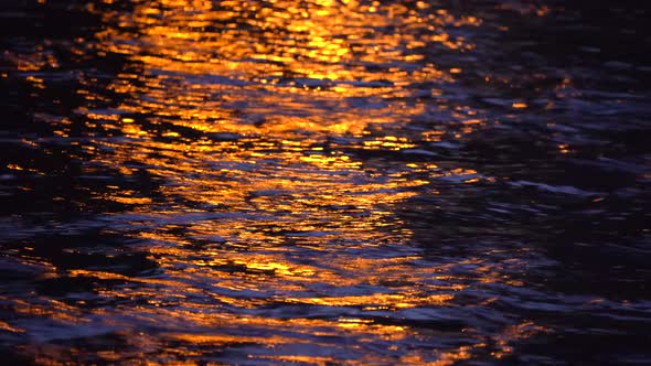 Light reflected in dark water